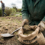 Miscela di semi festuca arundinacea: guida pratica all’acquisto